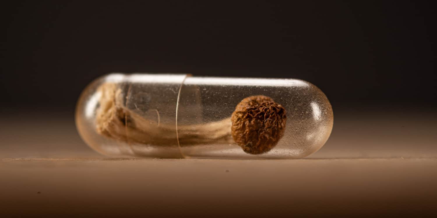 Psilocybin Mushroom Inside A Clear Medicine Capsule